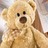Teddy bears icon graphics