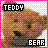 Teddy bears icon graphics