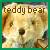 Teddy bears icon graphics