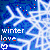 Winter icon graphics