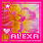 Alexa icon graphics