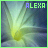 Alexa icon graphics
