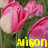 Alison icon graphics