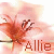 Allie icon graphics