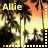 Allie icon graphics