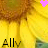 Ally icon graphics