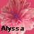 Alyssa icon graphics