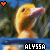 Alyssa icon graphics