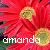 Amanda icon graphics
