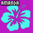 Amanda icon graphics