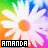 Amanda icon graphics