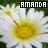Amanda icon graphics