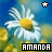 Amanda icon graphics