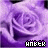 Amber icon graphics