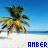 Amber icon graphics