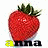 Anna icon graphics
