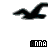 Anna icon graphics