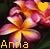 Anna icon graphics