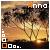 Anna icon graphics
