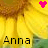Anna icon graphics