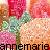 Annemarie icon graphics