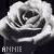 Annie icon graphics