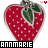 Annmarie icon graphics