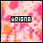 Ariana icon graphics