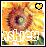 Ashley icon graphics