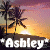 Ashley icon graphics