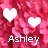 Ashley icon graphics