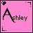 Ashley icon graphics