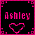 Ashley icon graphics