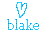 Blake icon graphics