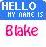 Blake icon graphics