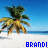 Brandi icon graphics