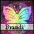 Brandi icon graphics