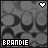 Brandie icon graphics