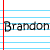 Brandon icon graphics