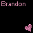 Brandon