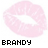 Brandy icon graphics