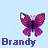 Brandy icon graphics