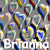 Brianna icon graphics