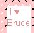 Bruce