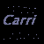 Carri icon graphics
