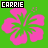 Carrie icon graphics