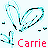 Carrie icon graphics