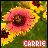 Carrie icon graphics