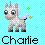 Charlie icon graphics