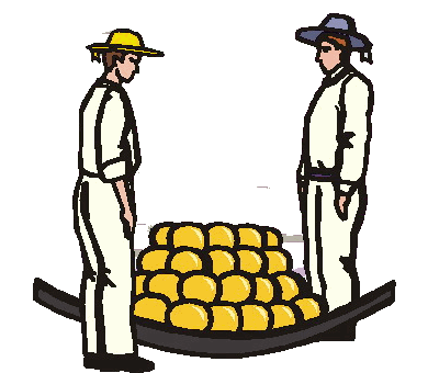 Cheese farmer